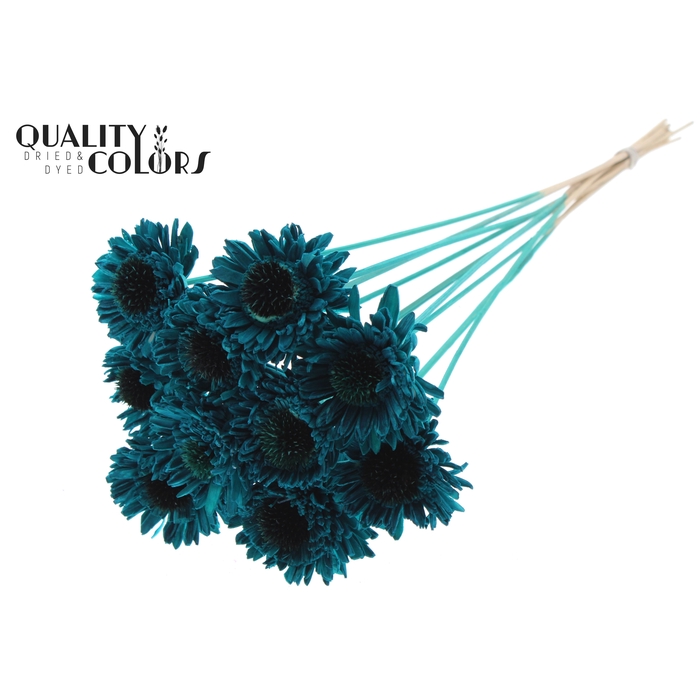 <h4>Shola Daisy Sunflower 6cm on stem Turquoise</h4>