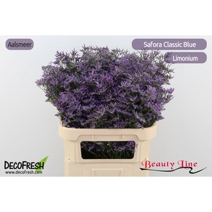 LIM SAF CLASSIC BLUE