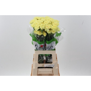 Di St Hermes Yellow