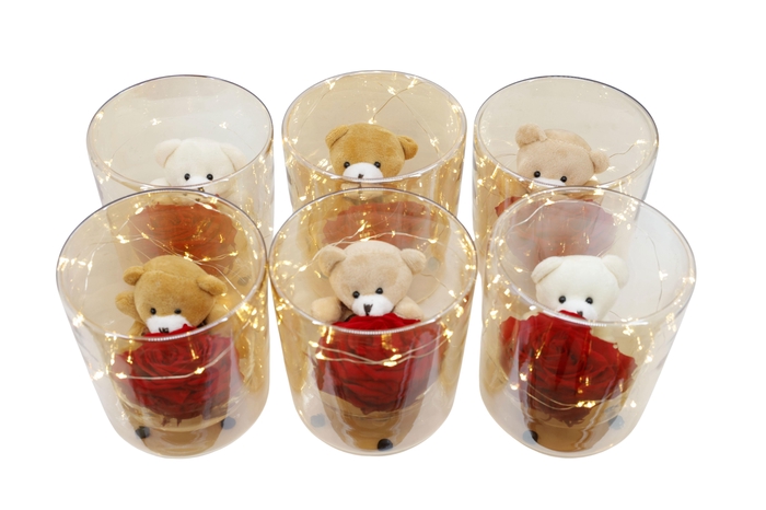 <h4>ARR ROSA POT H%</h4>