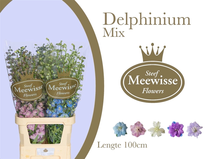 <h4>Delphinium Mix</h4>