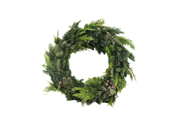 <h4>Krans Mix Nobilis Rond 50</h4>