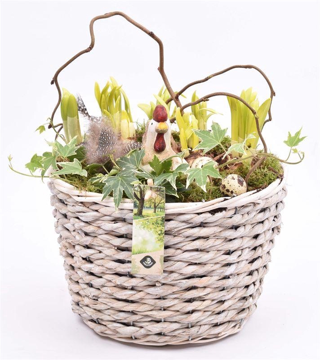 <h4>Touwmand mais 25cm</h4>