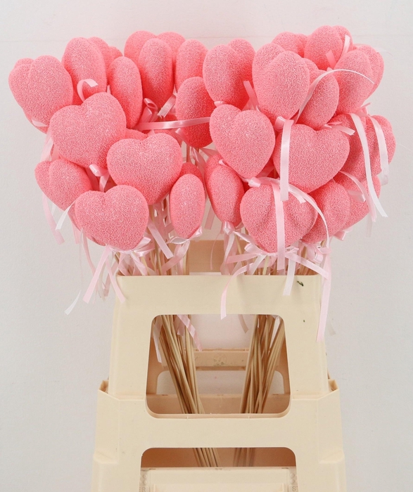 <h4>HARTJE OP STOK H%</h4>