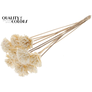 Shola Karnish Flower 6cm on stem Natural