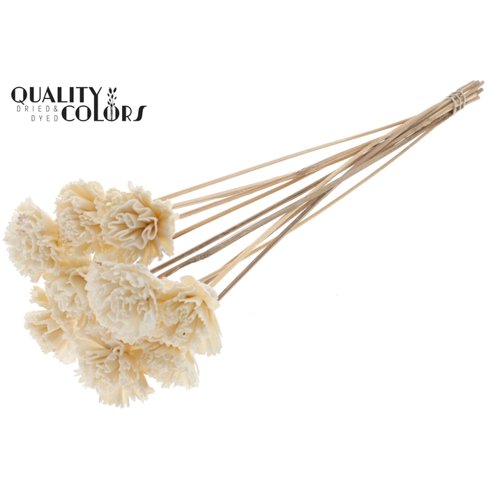<h4>Shola Karnish Flower 6cm on stem Natural</h4>