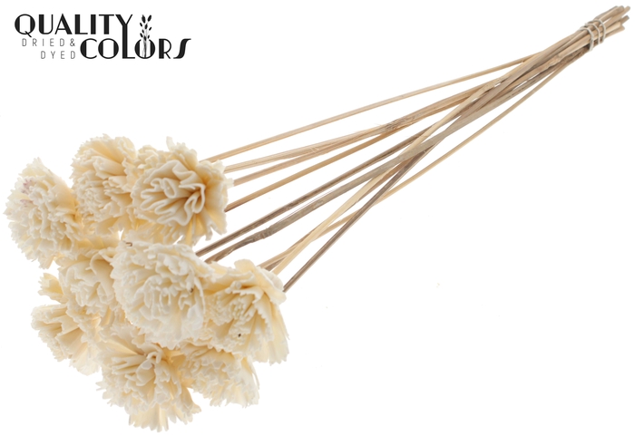 Shola Karnish Flower 6cm on stem Natural