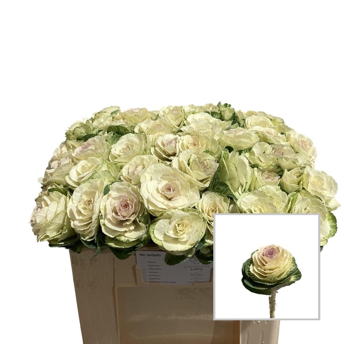 <h4>BRASS WHITE CRANE</h4>