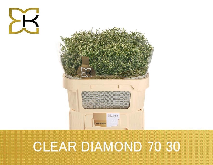 <h4>Lim Sin Clear Dia</h4>