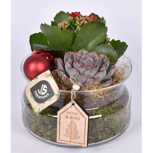 Glas schaal met hals 17 cm