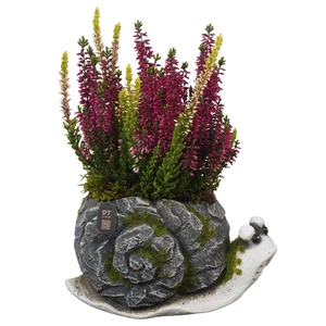 Arr.   Tuinplanten L%