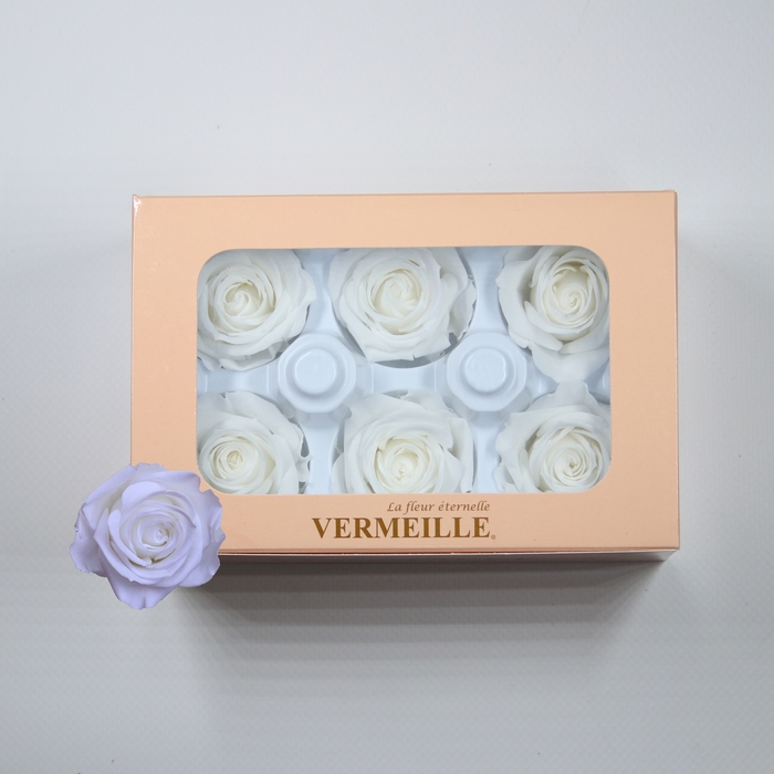 <h4>Rose Ines Princess White</h4>