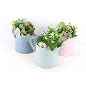 arr2 PL - Zink kan pastel mix - mix