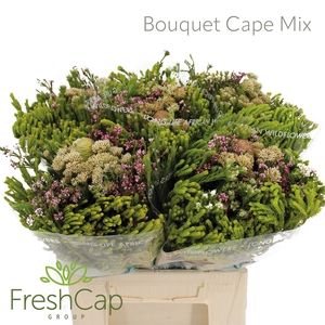 Bouquet Cape Mix