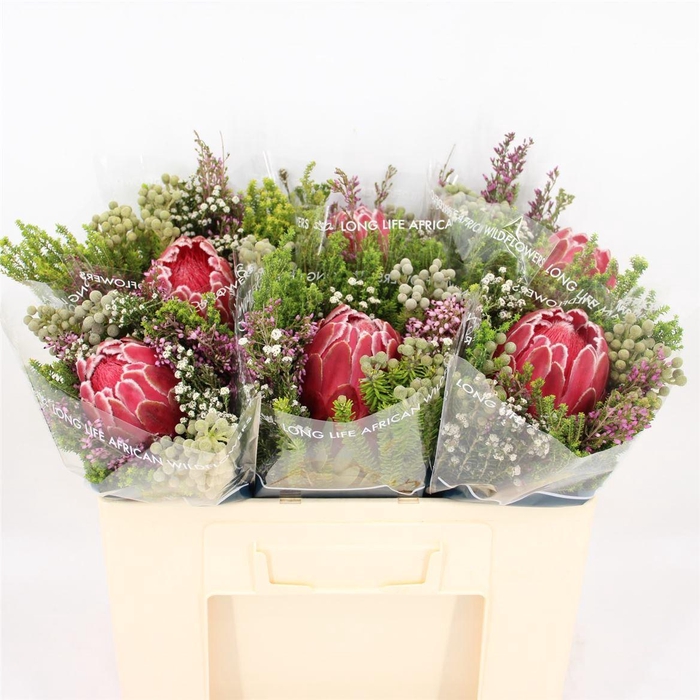 Bouquet Promo 1 Venus