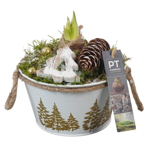 <h4>PTACH5863 Arrangementen Kerst</h4>