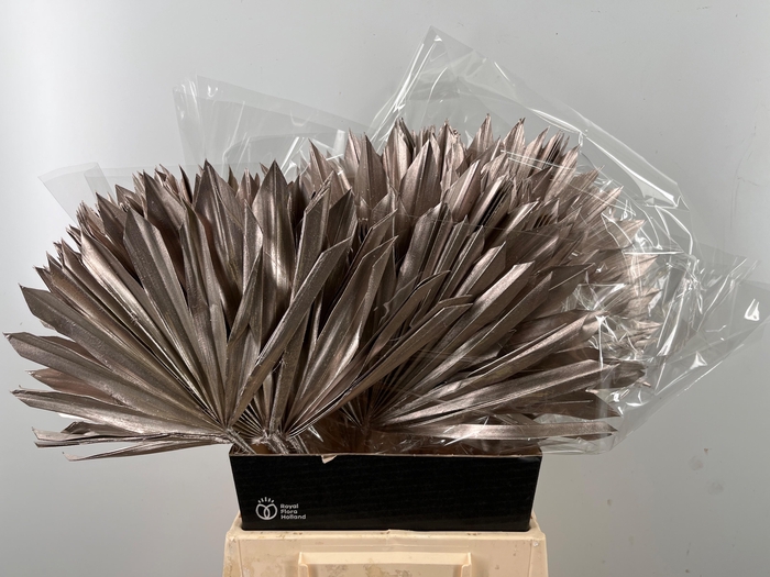 <h4>DROOGBL BEWERKT H%</h4>