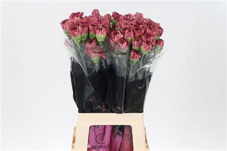 <h4>Di St Viper Wine</h4>