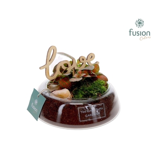 Green Bottle Christel Small Love met Fittonia