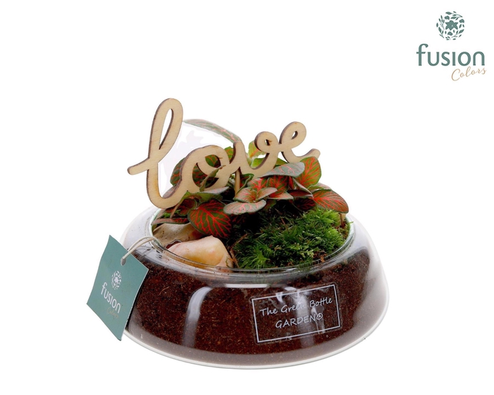 <h4>Green Bottle Christel Small Love met Fittonia</h4>