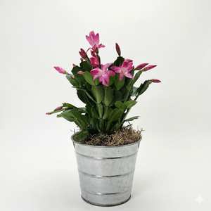 assemblage pot zinc