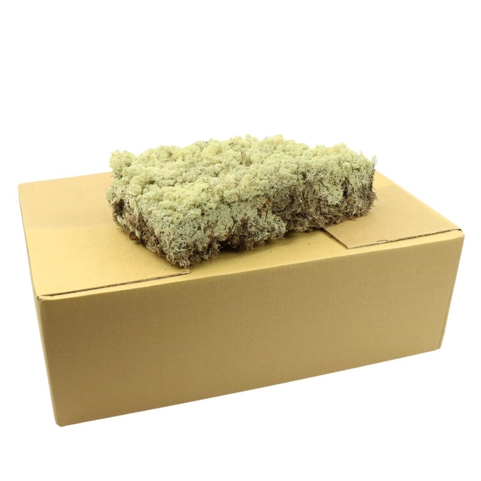 <h4>Preserved Rendiermos 3.5kg</h4>