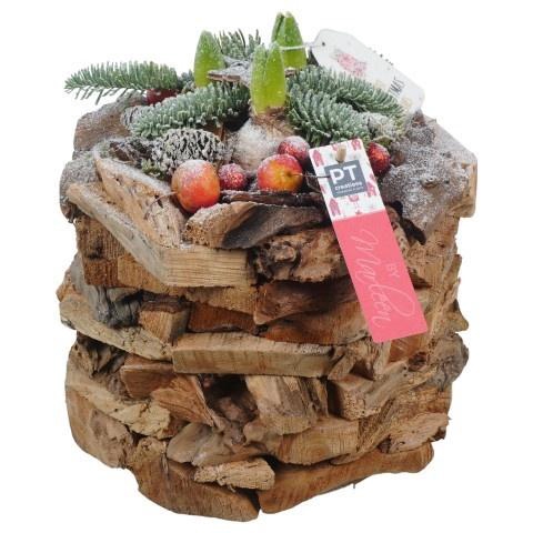 <h4>PTHCH6740 Arrangement Hyacint Christmas in houten</h4>