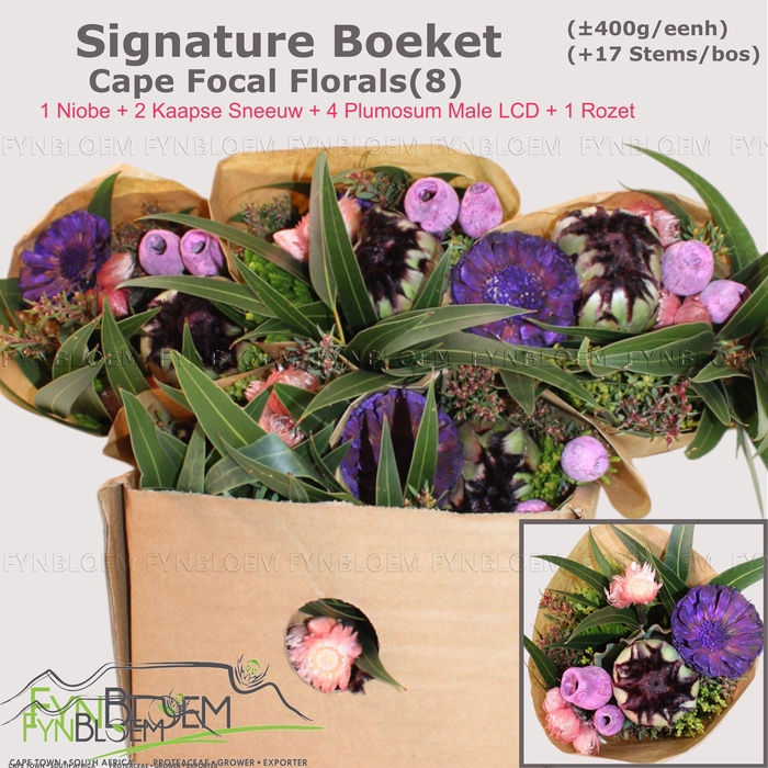 <h4>PROTEA PER BOS</h4>