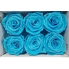 Ro Pres Classic Cyan