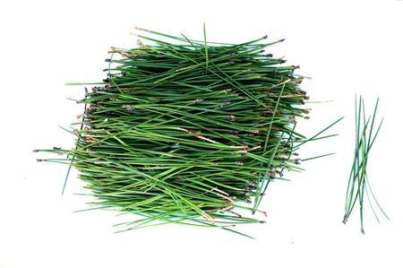 <h4>Pinus Pine Aghi 500g Vrac Verde</h4>