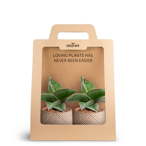 2-Pack Grove, Samurai