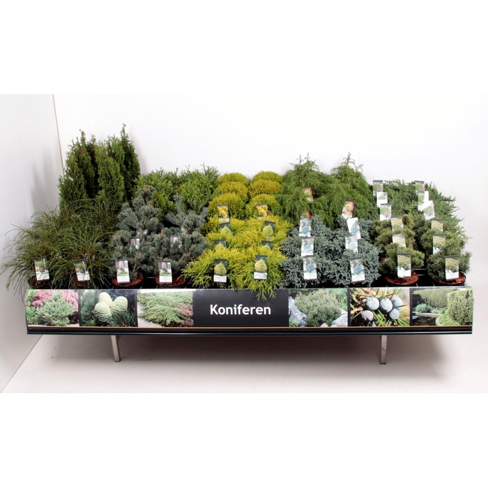 <h4>Tafelconcept Basisassortiment C5 (mix kan afwijken van foto)</h4>