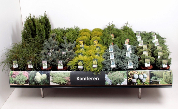 Tafelconcept Basisassortiment C5 (mix kan afwijken van foto)