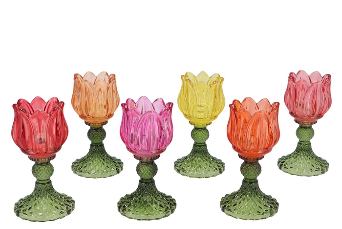 <h4>Bicolore Multicolor Bloom T-light Ass 8x15cm</h4>