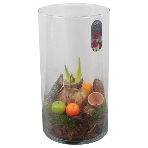 <h4>PTAA8825 Arrangement Amaryllis in glazen vaas</h4>