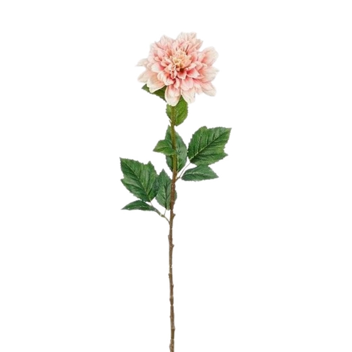 <h4>Dahlia 75cm</h4>