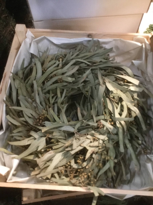 KRANS CONIFEER 55