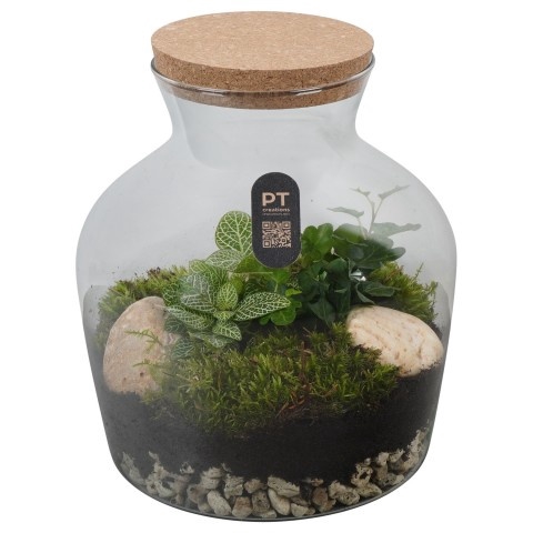 <h4>Opm Pt PTTER8103 Terrarium Glas</h4>