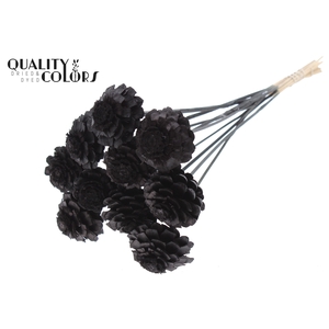 Pine Cone Cut 5-7cm on stem Black