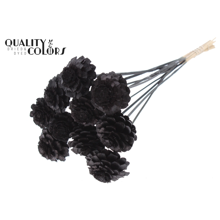 <h4>Pine Cone Cut 5-7cm on stem Black</h4>