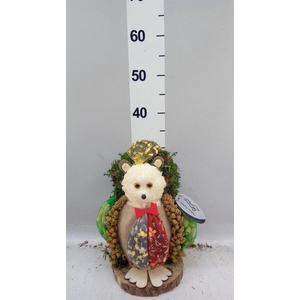 Decoratie  ..Vogelzaadfiguur  H%