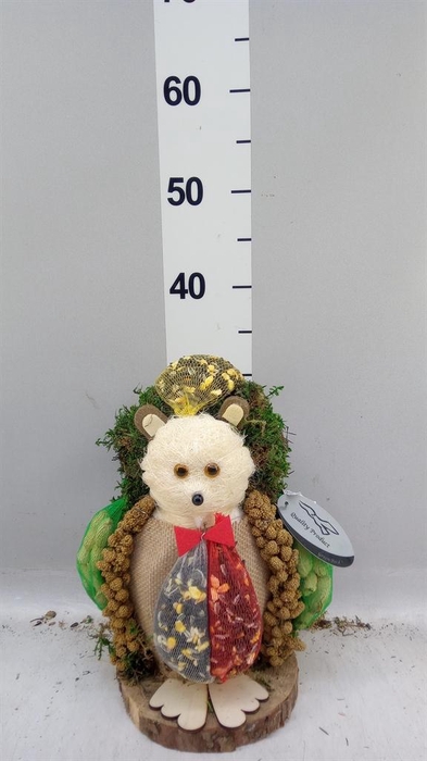 <h4>Decoratie  ..Vogelzaadfiguur  H%</h4>