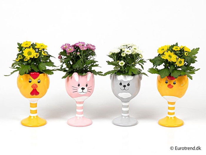 <h4>CHRYS.IND.HYBRID MINI</h4>