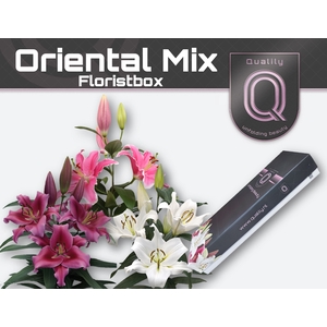 LI OR MIX IN FUST FLORISTBOX 4+