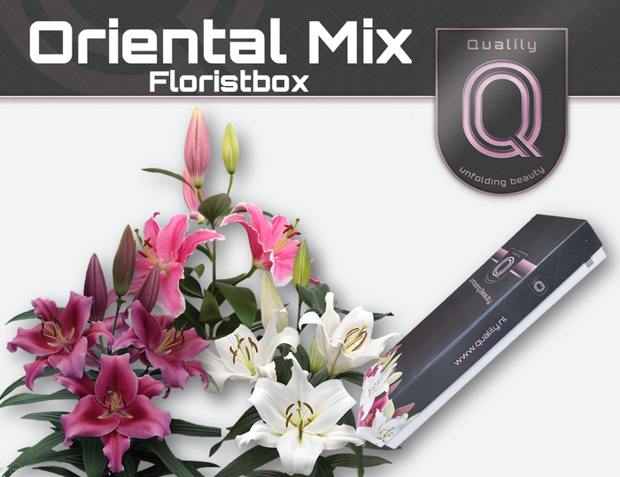 LI OR MIX IN FUST FLORISTBOX 4+