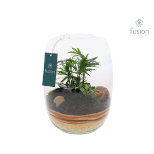 Green Bottle Isabella Large met zand arrangement