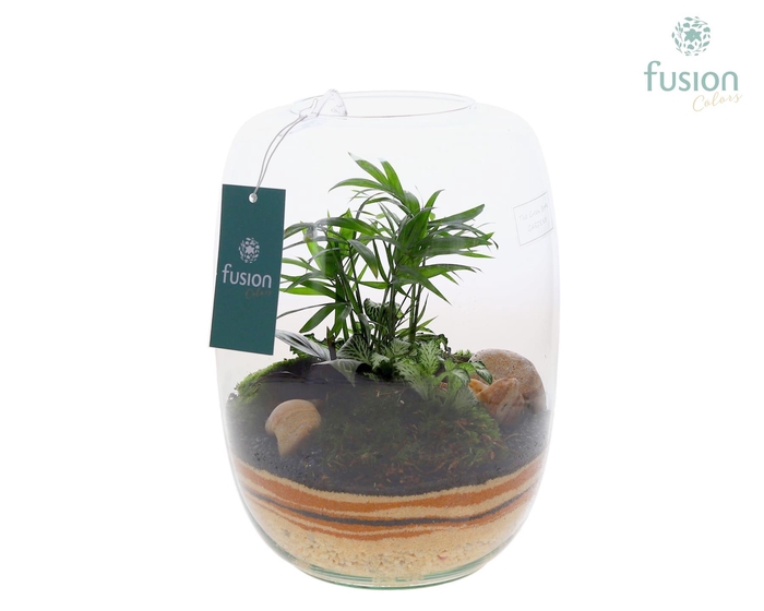 <h4>Green Bottle Isabella Large met zand arrangement</h4>