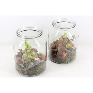 arr4 Amaryllis MB - Glas pot dik 338/6 RD