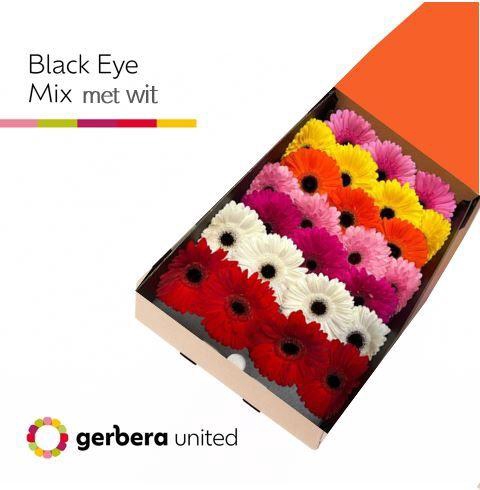 <h4>Gerbera Mix Zwart Hart Doos</h4>