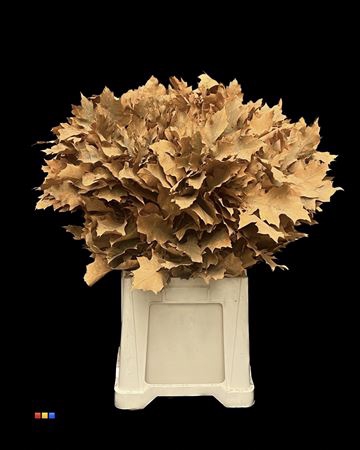 <h4>Eikeblad Frosted Orange 60cm</h4>